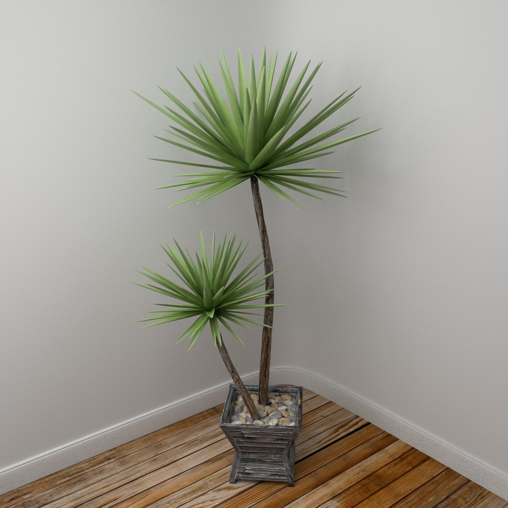 Yucca plant preview image 1